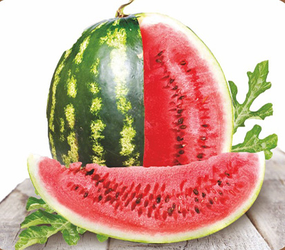 Süper Cirimson Sweet Karpuz